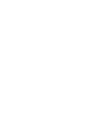 government